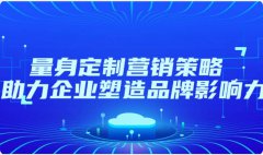 综合网络营销-网络营销-营销传播