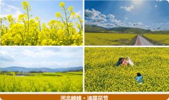 项目规划书/项目计划书